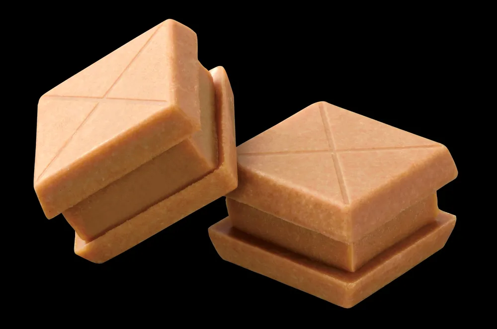 「チェルシー」に新顔キャラメルサンド　函館・道南食品、市の返礼品に提供