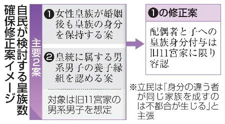自民が検討する皇族数確保修正案イメージ