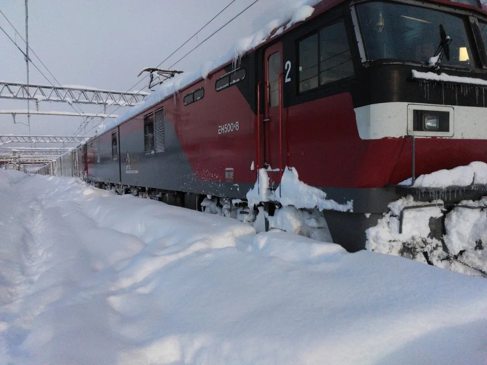 JR貨物、北海道発着便を全面再開 雪害過去最大、12日間で282本運休