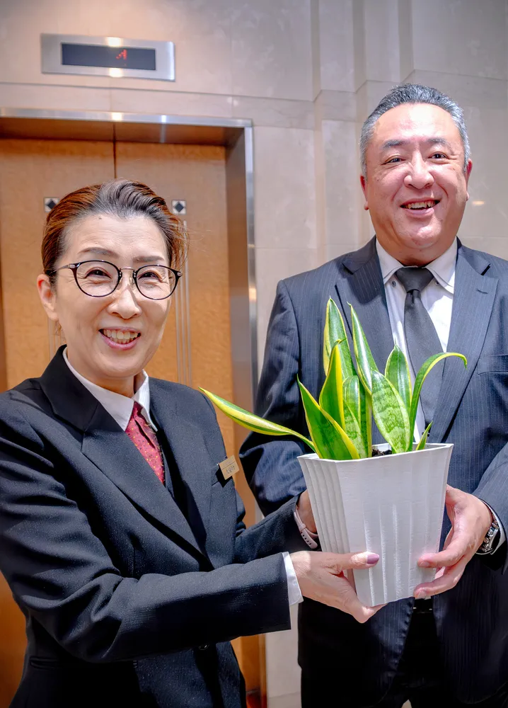 観葉植物も職場復帰！ホテルの緑が復活するストーリー