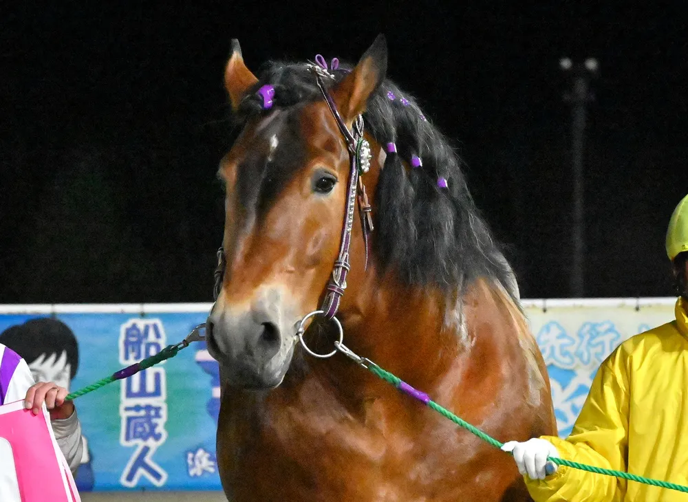 4月26日のレース紹介　オッズパーク杯＜ばんえい競馬＞