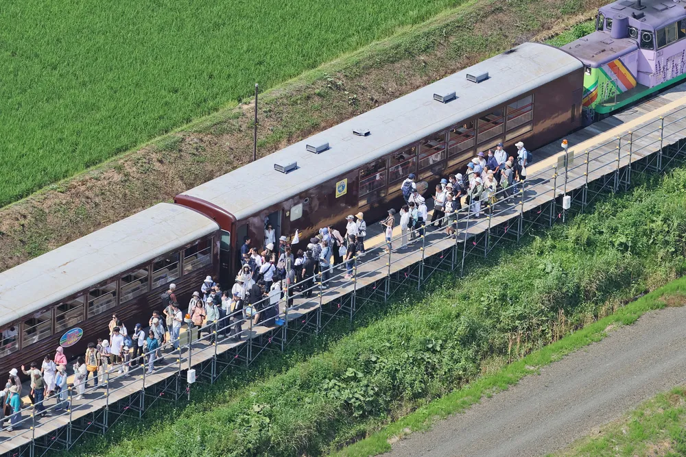2022富良野美瑛ノロッコ号　乗車記念　乗車証明書 富良野・美瑛ノロッコ号、最後の夏へ6日出発 新ロゴ、乗車証明書で