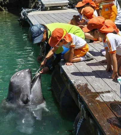 太地の博物館でクジラの歯磨き 洗車ブラシ使い健康PR：北海道新聞デジタル