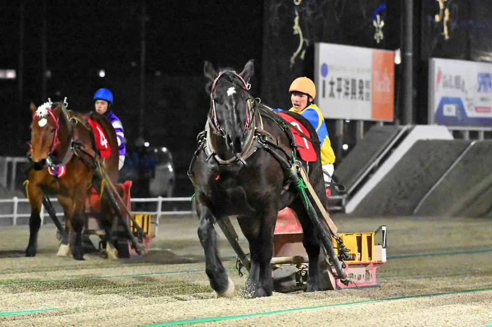 粘り強さをみせて優勝したコトブキラベンダー（右）