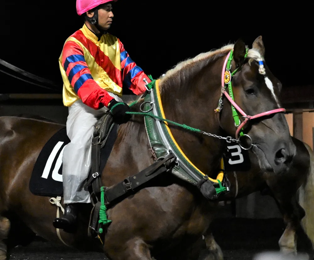8日のレース紹介　山鳩賞＜ばんえい競馬＞