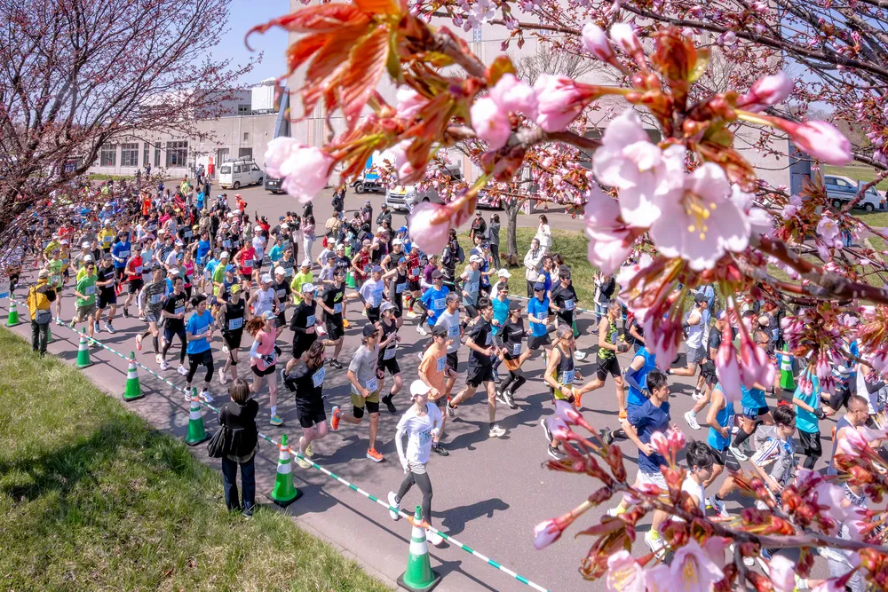 春風に乗った　伊達ハーフ駆けた　3014人完走