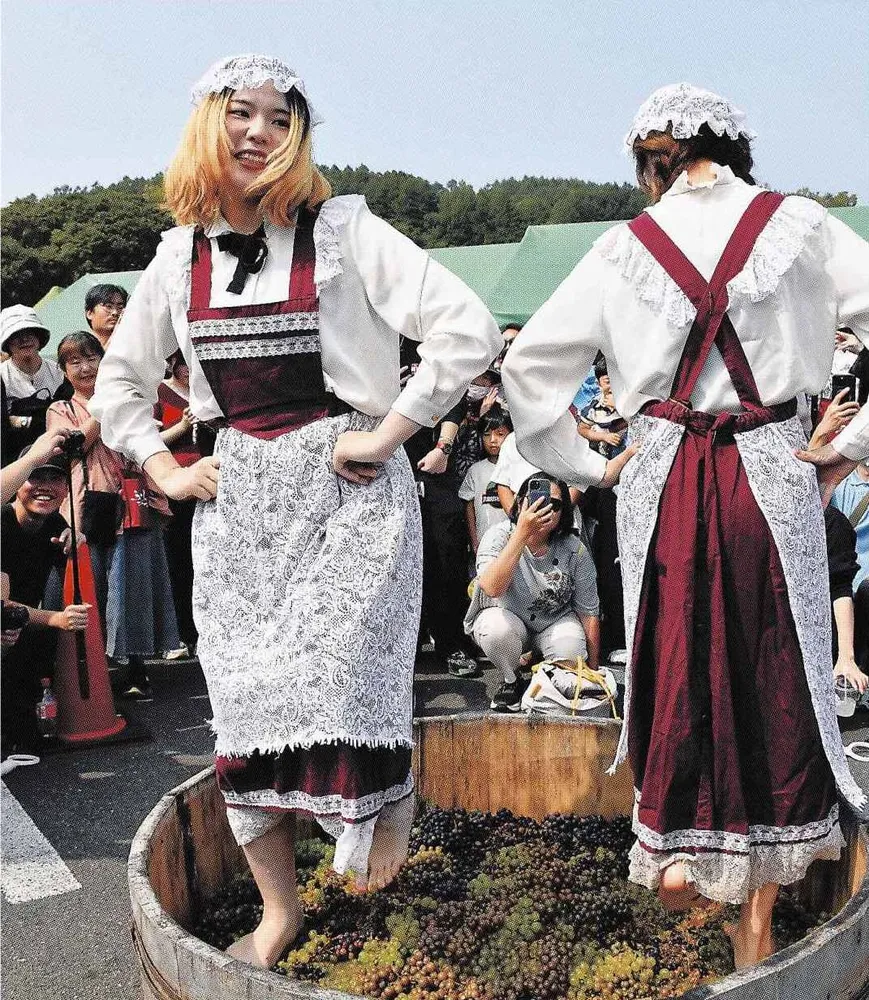 ふらのワイン 恵み祝う ぶどう踏みパフォーマンスに歓声 テイスティング挑戦も 市内でまつり 4ワイナリー出店:北海道新聞デジタル