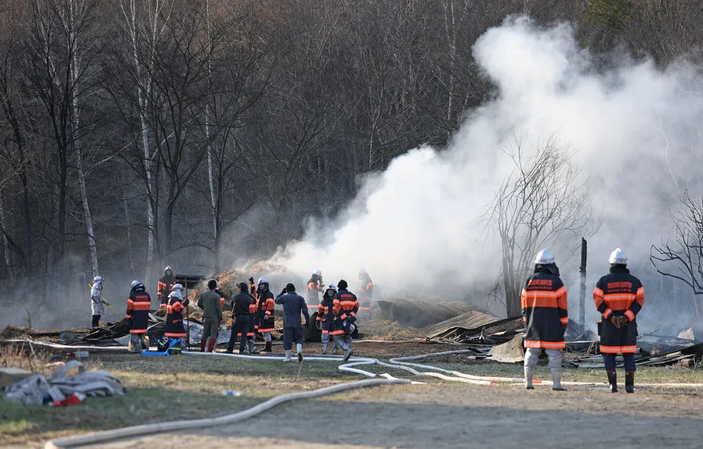 【動画＋写真8枚】池田で野火、山林に延焼　1人軽傷　自衛隊などヘリ派遣