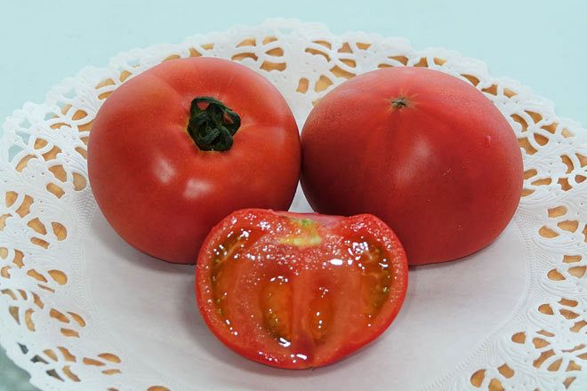フレッシュファクトリーが販売する仁木町産のフルーツトマト