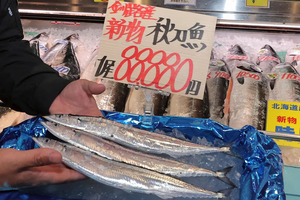 道東流し網サンマ 初競り1キロ44万円、最高値更新 店頭で1匹8万8880円