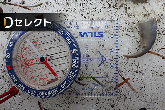 デジタル発＞ヒグマの「子殺し」道内で初確認 雄が別の雄の子