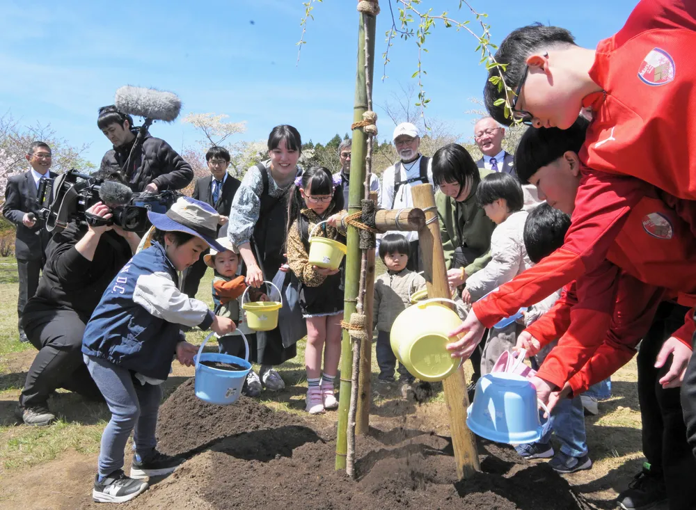 日本三大桜の「三春滝桜」 松前公園に苗木植樹：北海道新聞デジタル