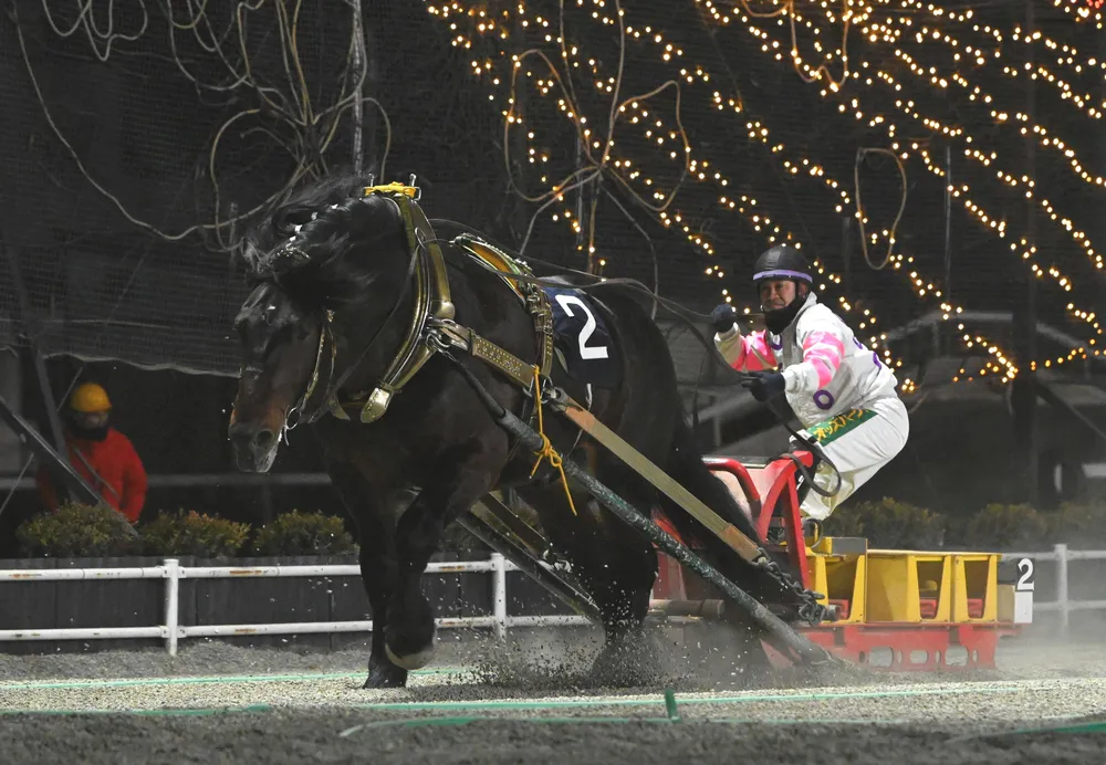オッズパーク杯展望 世代交代狙うキングフェスタ＜ばんえい競馬