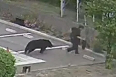 クマ襲撃の十数秒、一部始終記録 被害男性を執拗に追走、福島：北海道