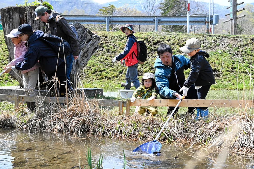 春の生き物 卵塊みっけ 登別で園児ら歓声:北海道新聞デジタル
