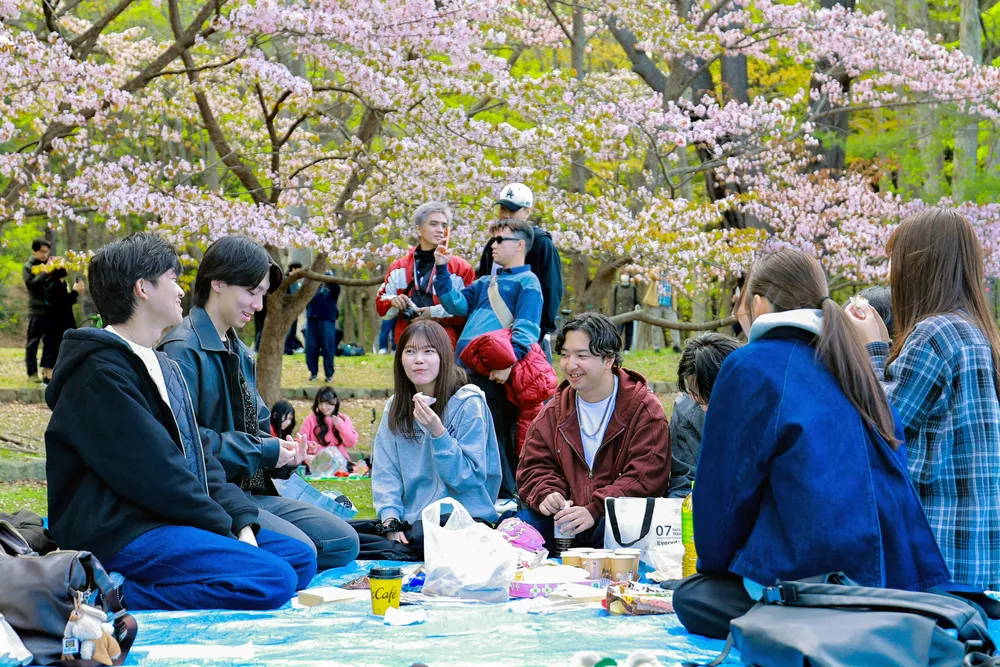 桜楽しむ行楽客、再会喜ぶ帰省客 GW初日、北海道内の観光地や空港