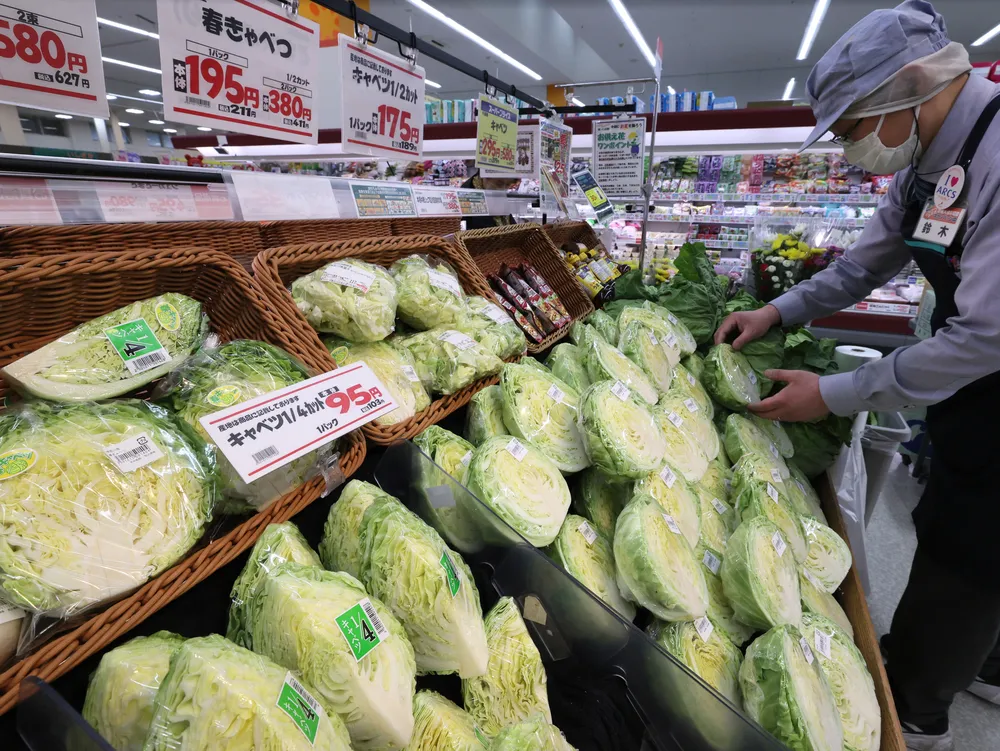 北海道内で野菜品薄、高値続く　生育遅れ追い打ち　平年２倍の品目も