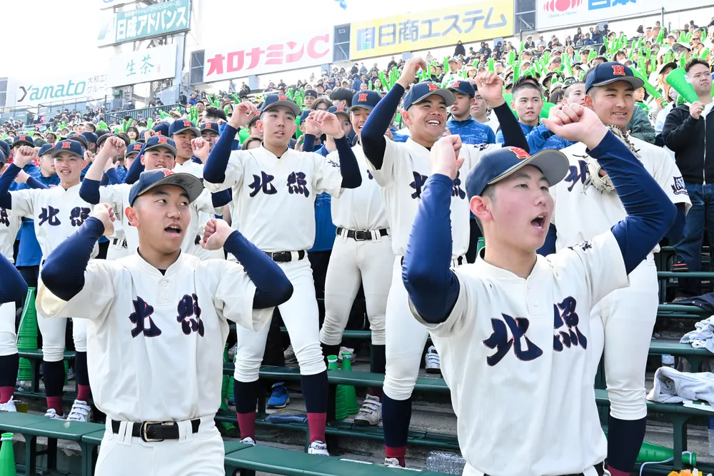 北照高校野球部 Tシャツ ウェア 野球 【公式通販】
