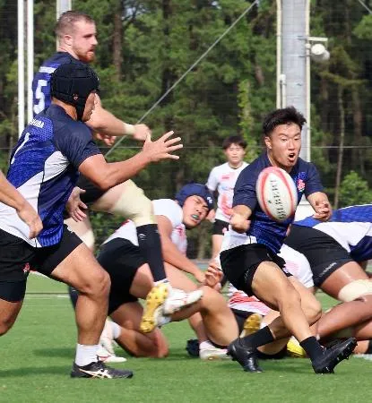選手支給品】ラグビー日本代表 ダウンベスト （XL）（楽天市場