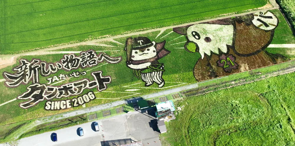 バット構える「あさっぴー」くっきり 田んぼアート、旭川で見頃