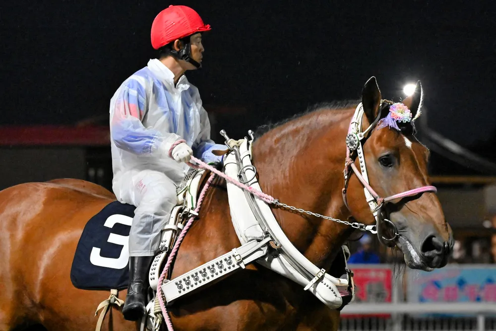 6日のレース紹介 ポテト特別＜ばんえい競馬＞：北海道新聞デジタル