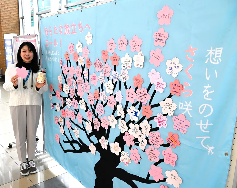 サクラ咲かせ、旅立ち応援 函館空港にメッセージボード：北海道新聞