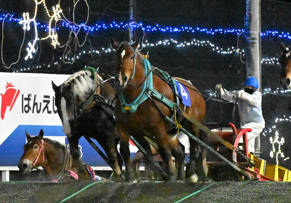 ばんえい競馬 サクラヒメ 木箱入り蹄鉄 世界で唯一 ばんえい競馬