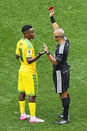 映画 ヤン・ファン・ハースターン レッドカード サッカー ジグソーパズル レッドカード早くも前回大会超え W杯1次リーグで6枚：北海道新聞デジタル