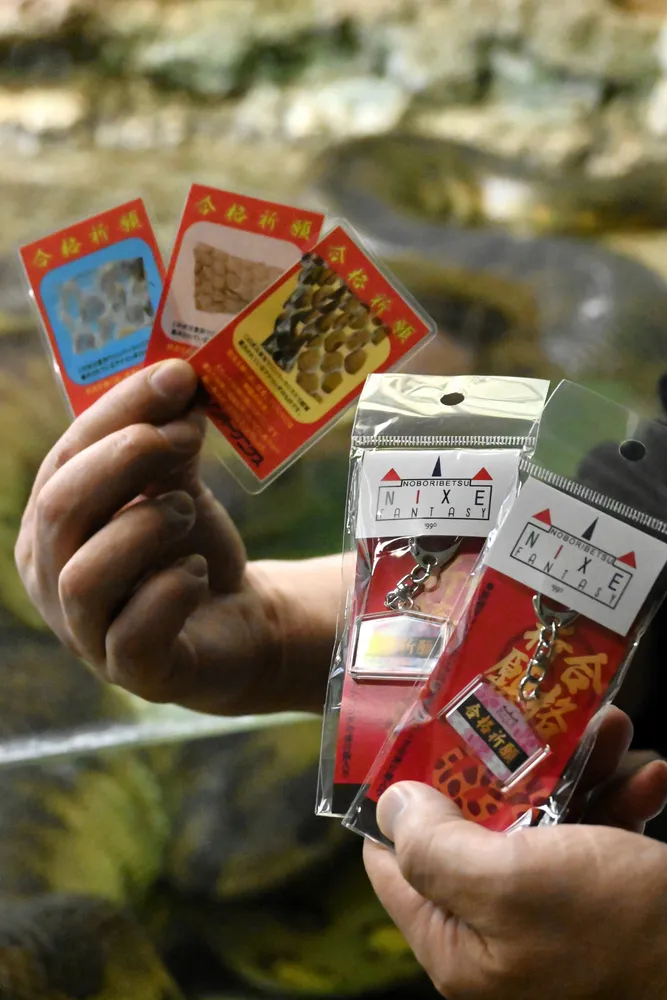 ヘビの抜け殻 知恵授けて 登別・ニクスが合格祈願お守り販売＜師走点描
