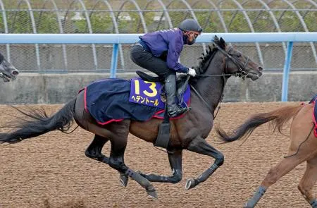 天皇賞・春連覇狙うヘデントール 競馬、最終追い切りで態勢整える