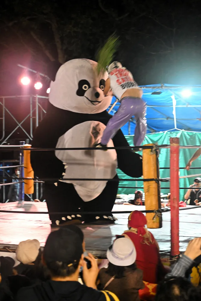 パンダ、パンダ」新根室プロレスが地元興行 三吉神社の例大祭：北海道