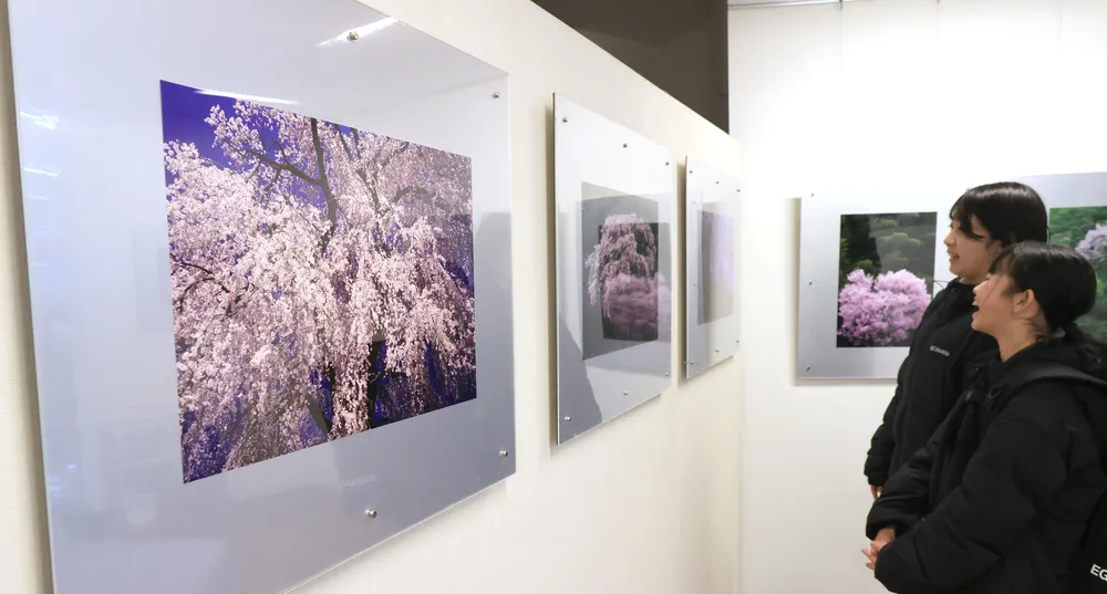 73ca3b6604f83d1e419ca2805c8448