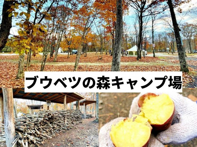 薪が無料で通年営業！森のプロが営む「ブウベツの森キャンプ場