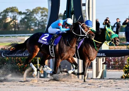 ダブルハートボンドが優勝 競馬のG1チャンピオンズカップ：北海道新聞