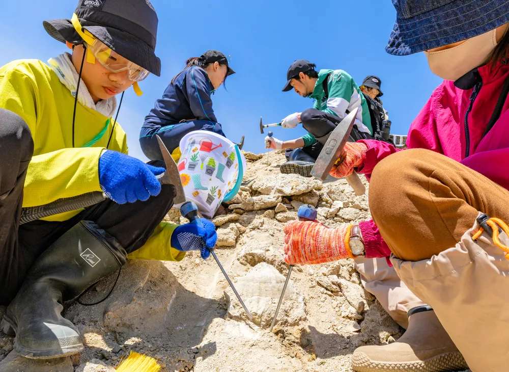 釧路市阿寒で化石発掘体験、親子で太古の海を探究