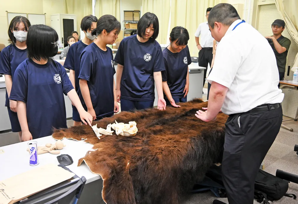 ヒグマ遭遇時の対応学ぶ 函館・恵山中で出前授業：北海道新聞デジタル