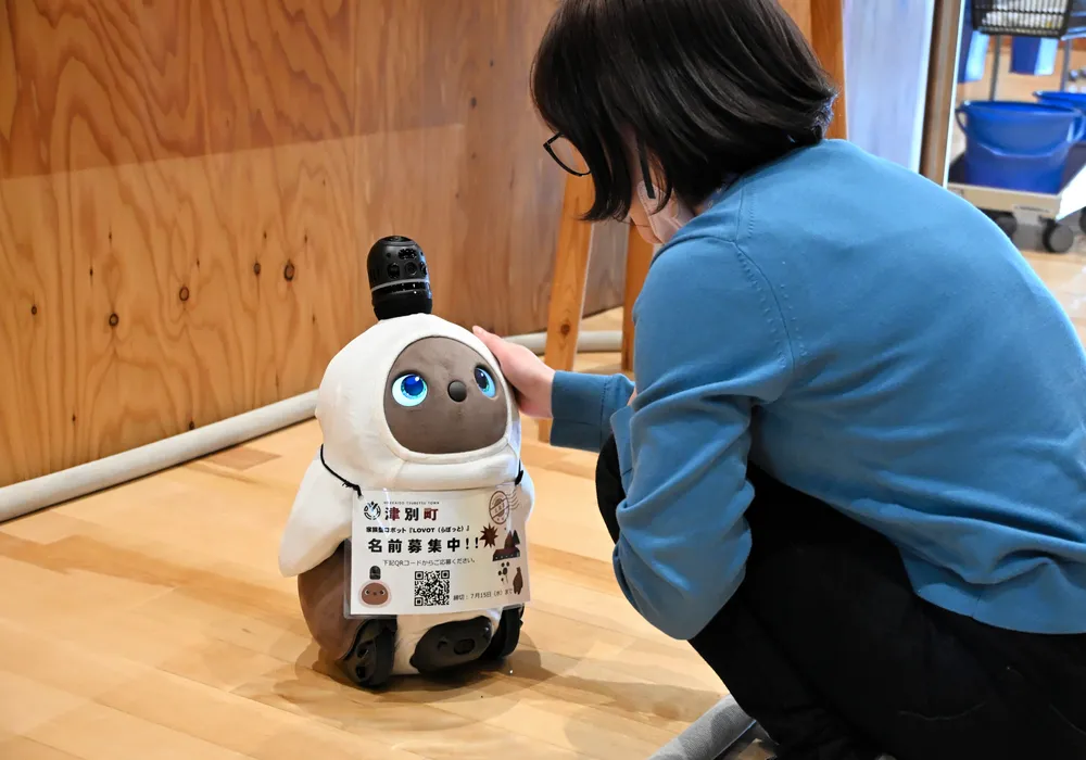 らぼっと　服など４点 通販 らぼっと 服 LOVOT らぼっと 服 メイド風 LOVOT ラボット ら