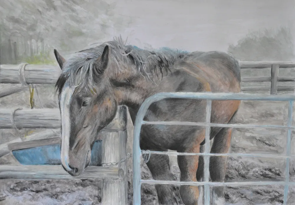 【美術品】鳥の羽根で描かれた馬 最高賞に今金中2年・松本さん 第32回馬の絵作品展：北海道新聞デジタル