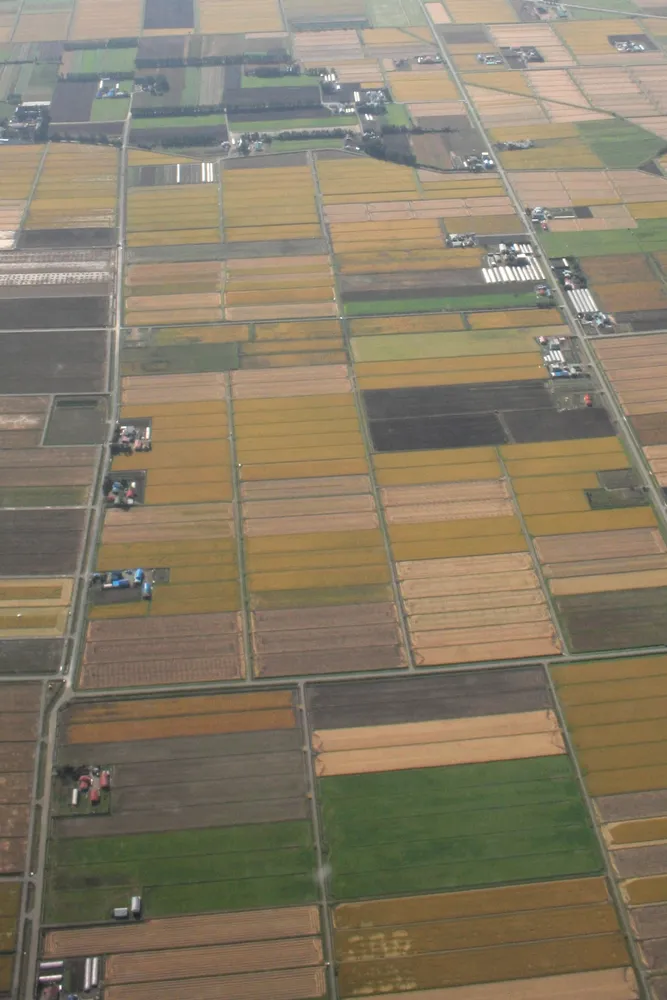 北の事始め 発祥の地あれこれ＞殖民区画 格子状の農地、開墾推進 道路で囲んだ３００間四方：北海道新聞デジタル