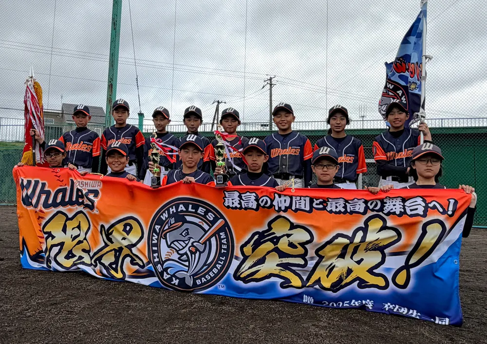 柏ホエールズが5連覇　恵庭で道新旗少年野球