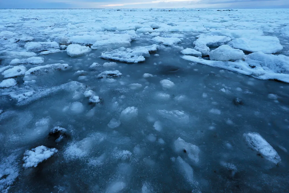 流氷シーズンいよいよ　北見・常呂に「グリースアイス」出現