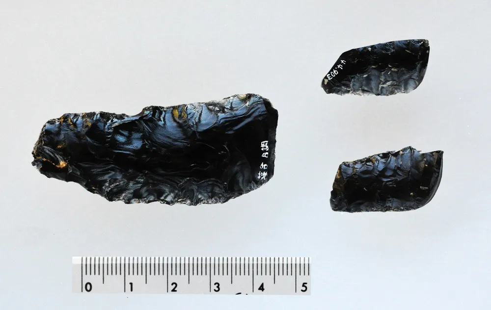 落合遺跡から出土した「忍路子型細石刃核」（帯広百年記念館提供）
