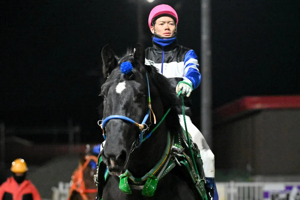 ５月２４日のレース紹介　ライラック賞＜ばんえい競馬＞