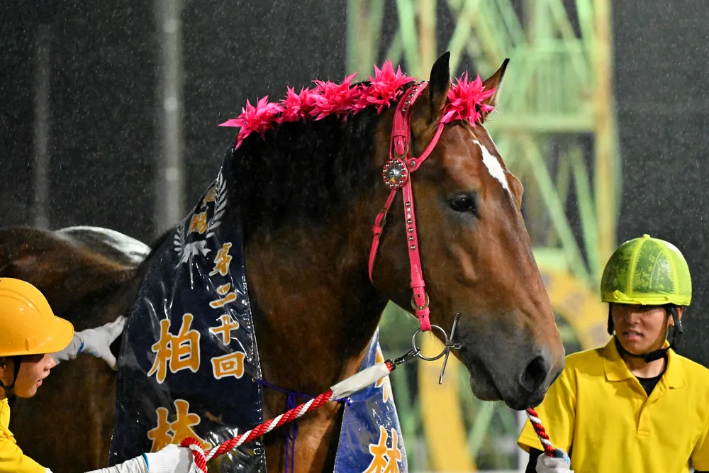 27日のレース紹介　第34回銀河賞＜ばんえい競馬＞