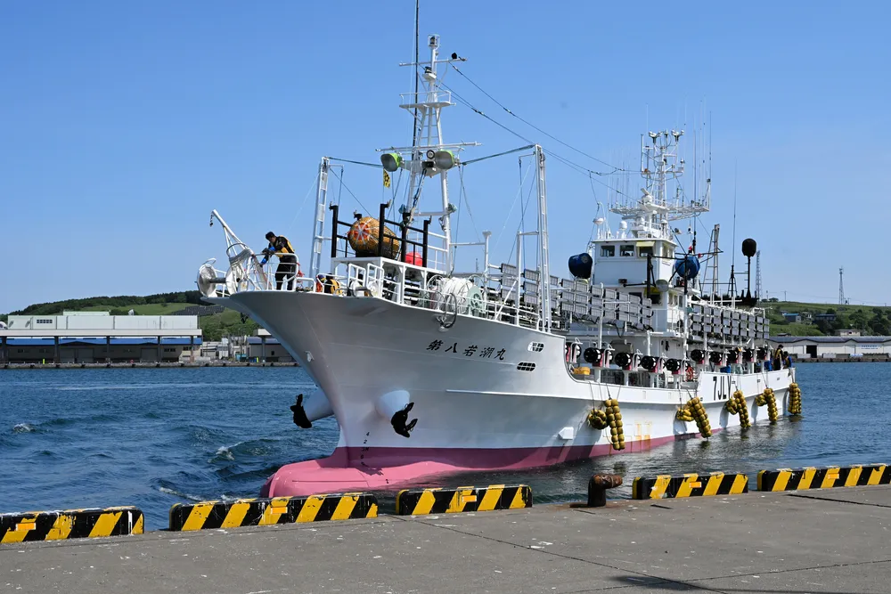 改造サンマ漁船でアカイカ狙う イカ釣り専業船並み80トン 漁期違い