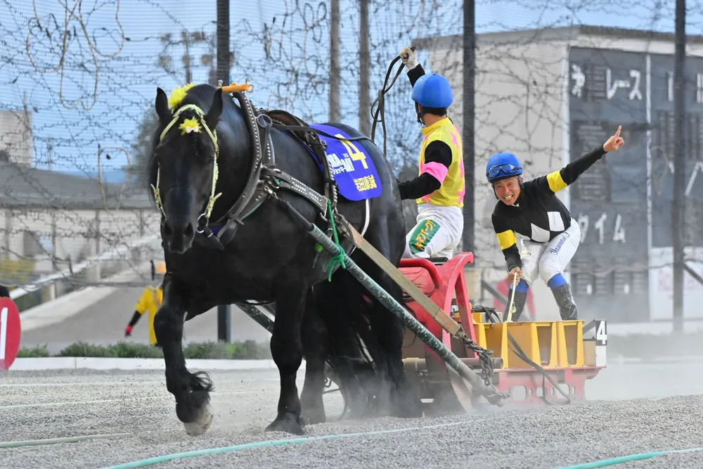情報パドック 帯広ばんえい競馬にJRA騎手7人集結 岩田騎手がモンキー