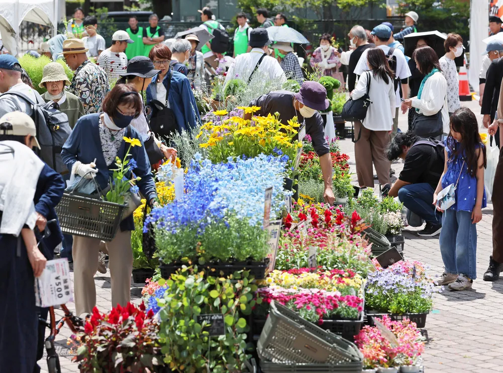 五感で楽しむ花フェスタ　札幌・大通公園にぎわう　7月5日まで