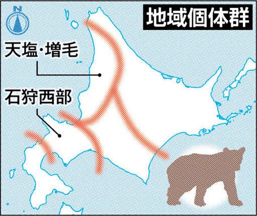 キョン / 国立環境研究所 侵入生物DB
