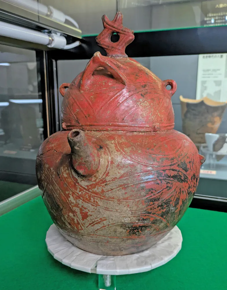 赤彩注口土器」特別展示始まる 八雲で2日まで：北海道新聞デジタル
