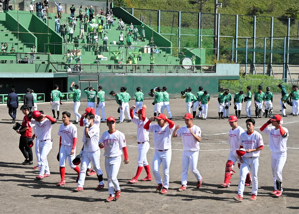 室蘭シャークス、5年ぶりの全国逃す ともえ戦敗退：北海道新聞デジタル